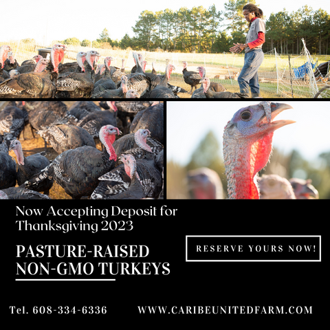 https://www.caribeunitedfarm.com/cdn/shop/files/NowAcceptingDeposit.png?v=1689109562&width=480